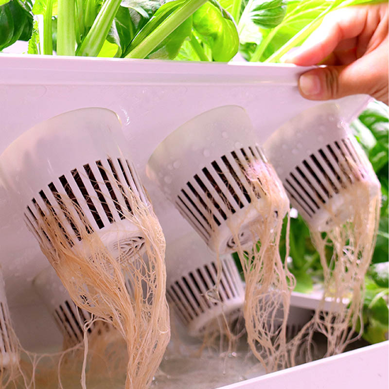 ระบบปลูกพืชไฮโดรโปนิกส์ ระบบอั - Home Automation System Diy บทวิจารณ์และราคา