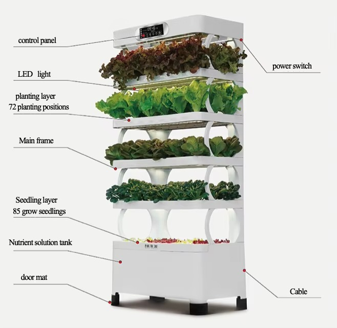 ระบบปลูกพืชไฮโดรโปนิกส์อัตโนมั - Home Automation System Diy บทวิจารณ์และราคา
